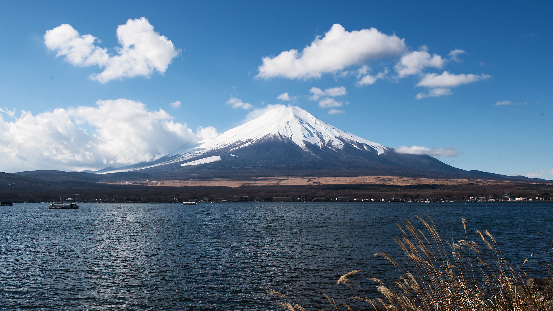 訪問着 富士山 富士五湖 山道 グラデーション 森林 NK-1093 2023年8月1日グランドオープン】～富士山を望む、手つかずの大自然の