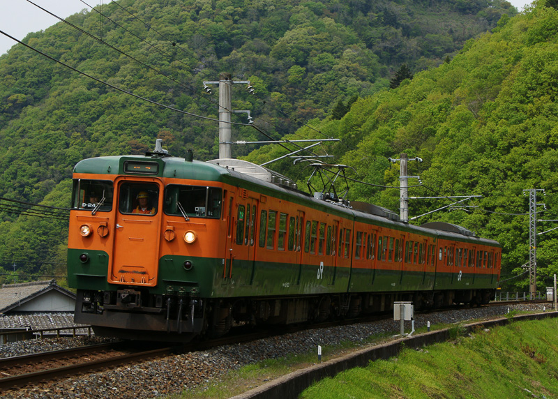 JR西日本、115系車両の「湘南色」を継続。5月3日～6日に6両編成で山陽