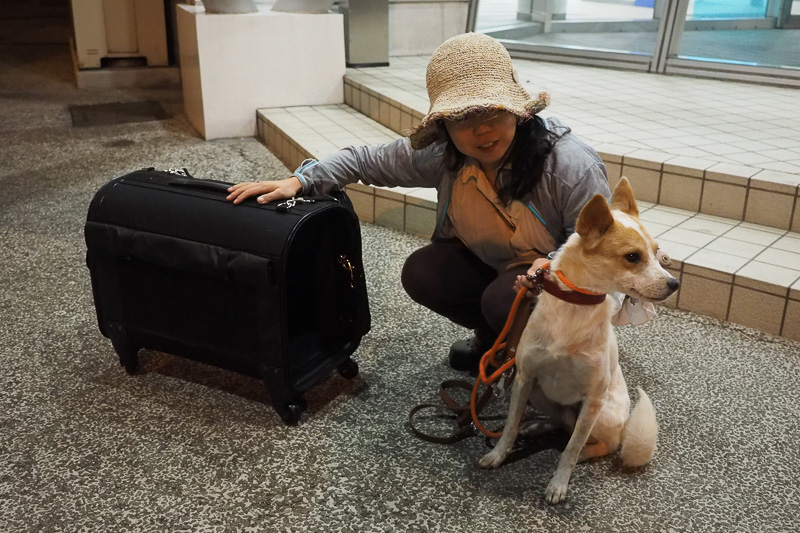 ワンコ旅 大好きなペットと一緒に北海道へ その1 準備 移動編 トラベル Watch Watch