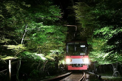 叡山電車 7月1日から もみじのトンネル 深緑のライトアップ を実施 トラベル Watch
