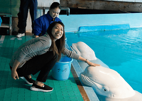 鴨川シーワールド 巨大水槽前で一夜を過ごす女子会プラン レディースナイトステイ 9月と10月に開催 ヘルシーコース料理とともに女性飼育員 トレーナーと語らう 週末女子会 トラベル Watch