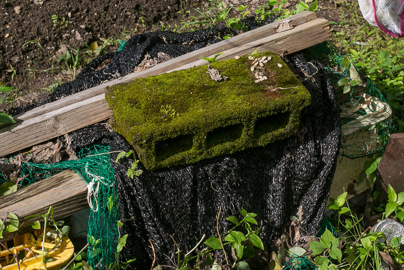 画像 長崎県北の佐世保 波佐見エリアにある日本遺産を巡る旅 その3 窯焚きさんしか食べられなかった 特別な料理 もいただく 47 70 トラベル Watch