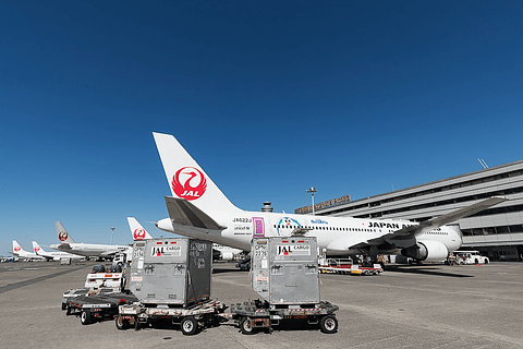 空港で預けた荷物はどうやって運ばれている Jalが羽田空港でのグランドハンドリング作業公開 破損せずに荷物を扱うプロフェッショナルの仕事 トラベル Watch
