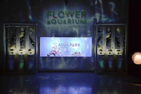 アクアパーク品川 花 がテーマの初夏イベント Flower Aquarium By Naked 開催 4月22日 7月2日開催 進化 したドルフィンパフォーマンスが見どころ トラベル Watch