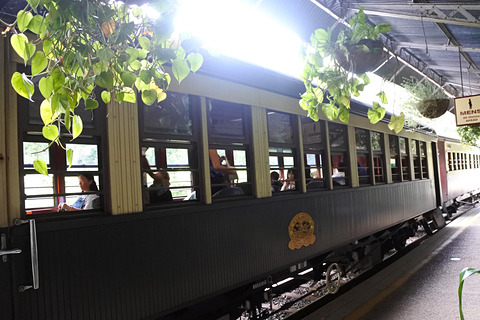 グレートバリアリーフから熱帯雨林 さらに鉄道までオーストラリア ケアンズ大自然旅 その3 世界遺産の熱帯雨林の姿を鉄道 文化 探検で知る トラベル Watch