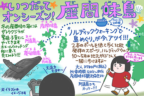 沖縄本島からフェリーで行く離島 座間味島 阿嘉島ツアー ザトウクジラに会える座間味島編 その1 トラベル Watch