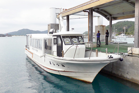 沖縄本島からフェリーで行く離島 座間味島 阿嘉島ツアー 島豆腐作ってケラマジカに遭遇の阿嘉島編 その2 トラベル Watch