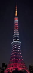 東京タワー 新ライトアップ Infinity Diamond Veil 11月7日初点灯 11月9日 10日に 祝賀御列の儀 特別プログラムも トラベル Watch