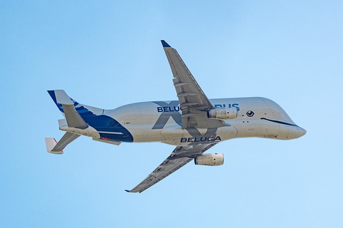 エアバス ベルーガxl の型式証明取得 A350主翼を2枚同時に輸送可能に トラベル Watch