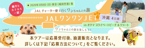 ジャルパック 機内もホテルも愛犬と一緒に過ごせる Jalワンワンjet 沖縄4日間 発売 トラベル Watch