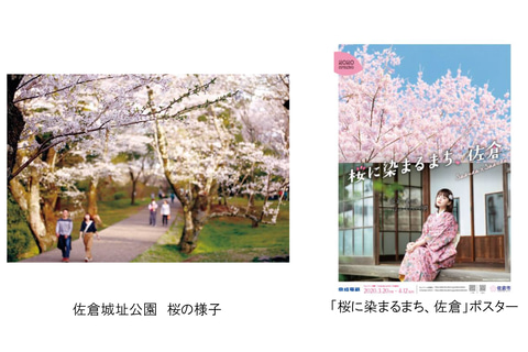 京成佐倉駅が 京成桜駅 に 桜に染まるまち 佐倉 キャンペーン 3月日から トラベル Watch