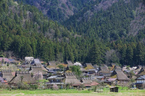 特集 観光地からのメッセージ 南丹市美山観光まちづくり協会 トラベル Watch