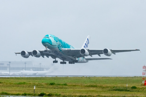 Anaのエアバス A380型機 フライング ホヌ が約3か月ぶりに空へ 成田空港発着で26分間フライト トラベル Watch