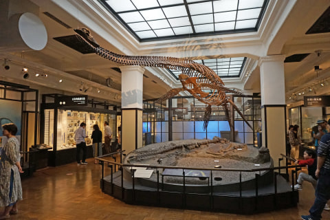 トリップアドバイザー 旅好きが選ぶ 日本人に人気の美術館 博物館ランキング 発表 トラベル Watch