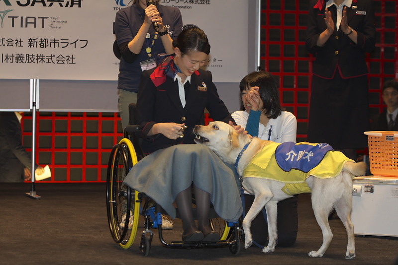 画像 Ana 補助犬同伴での飛行機搭乗や機内設備を体験するツアーを実施 国際線ターミナルではana Jalの両caによる補助犬のデモンストレーション 16 23 トラベル Watch