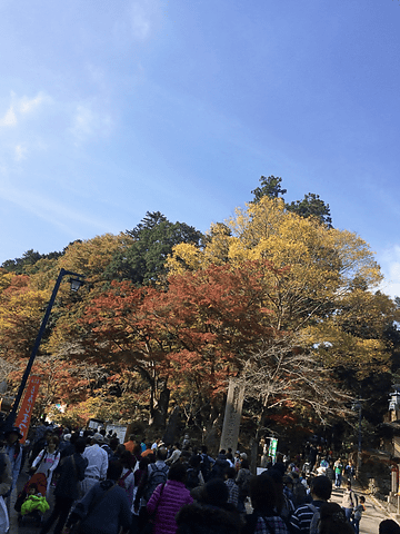 ボーカリスト琴音の音楽旅 秋の紅葉 そばにお団子 日帰り温泉と初めてのひとり高尾山 トラベル Watch Watch