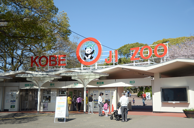 画像 もうすぐ春爛漫 桜とパンダを楽しめる神戸市立王子動物園に行ってみよう 3 30 トラベル Watch Watch