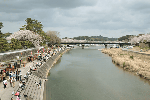 サミット目前の伊勢市で 桜めぐり プレスツアー に参加 その2 五十鈴川桜まつり と おかげ横丁 の散策や人気店を訪問 トラベル Watch Watch