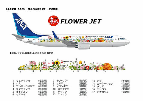 東北の花が咲くana 東北 Flower Jet がロールアウト 5月14日に福島へ 機内では専用ヘッドレストカバーや紙コップ トラベル Watch Watch