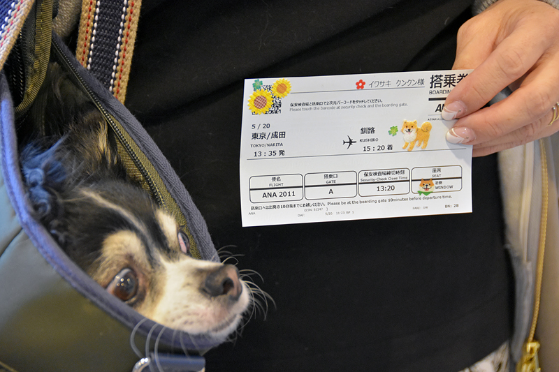 画像 愛犬44匹が北海道へ Anaがペットと機内で過ごせるチャーターツアー開催 ツアーは2日で完売 14 102 トラベル Watch Watch