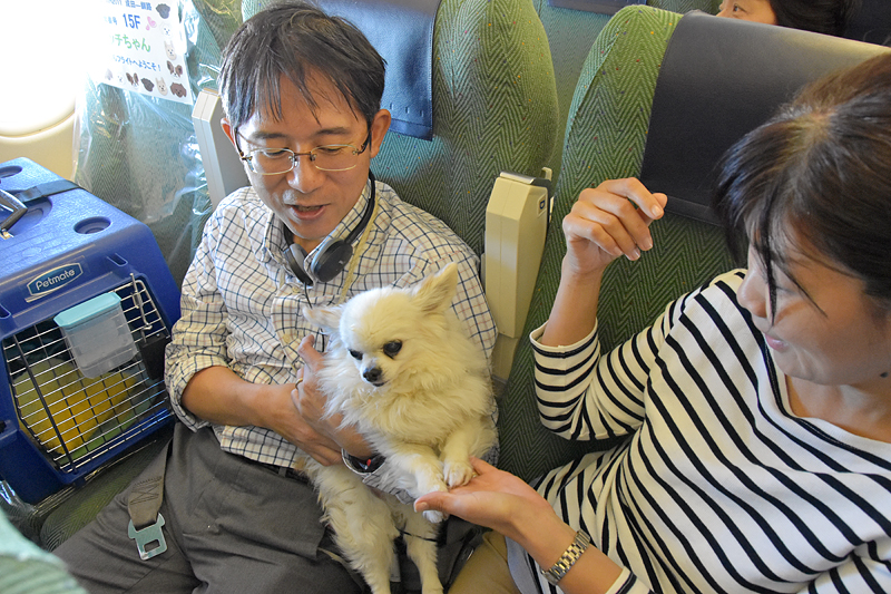 画像 愛犬44匹が北海道へ Anaがペットと機内で過ごせるチャーターツアー開催 ツアーは2日で完売 52 102 トラベル Watch Watch