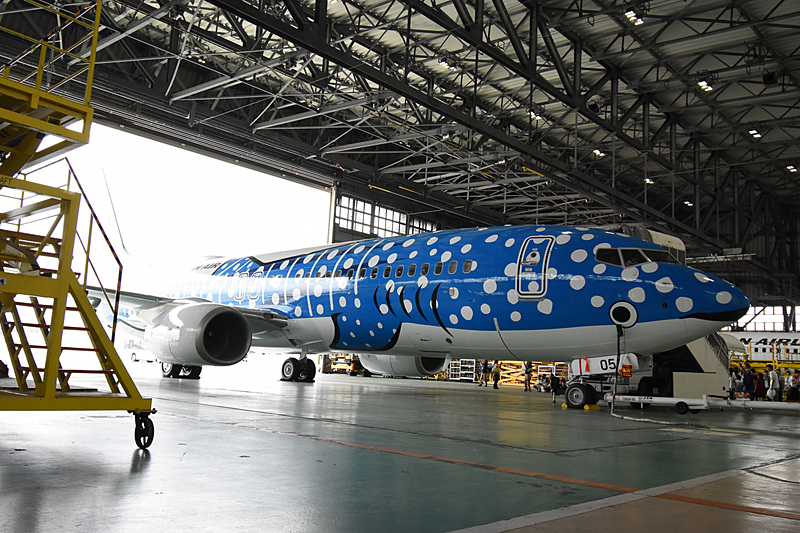 日本トランスオーシャン航空、地元小学生らを招いて特別塗装機