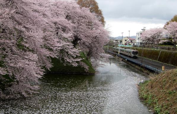 JR東日本、山形県の桜の名所「霞城公園」で減速運行。4月10日から