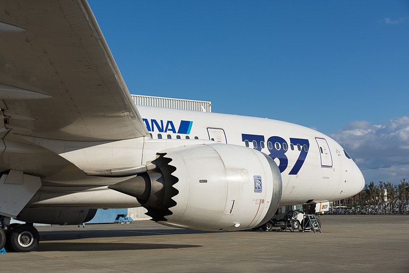 ANA、ボーイング 787型機のエンジン点検により国内線で113便が欠航。7