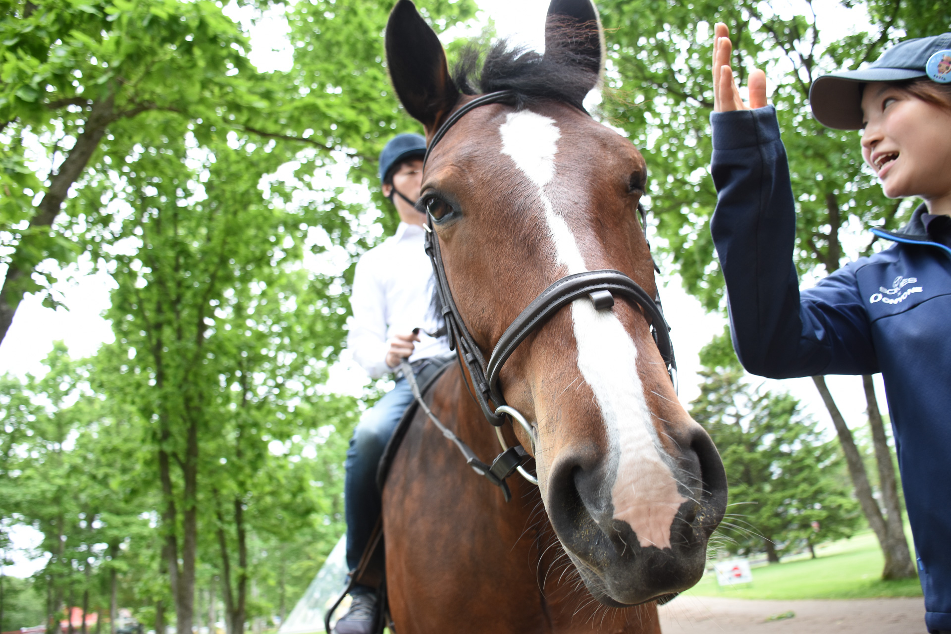 北海道のノーザンホースパークで乗馬体験 ホーストレッキングに参加してみた 馬と自然の持つ力で訪れたゲストに 輝く思い出 を作る トラベル Watch