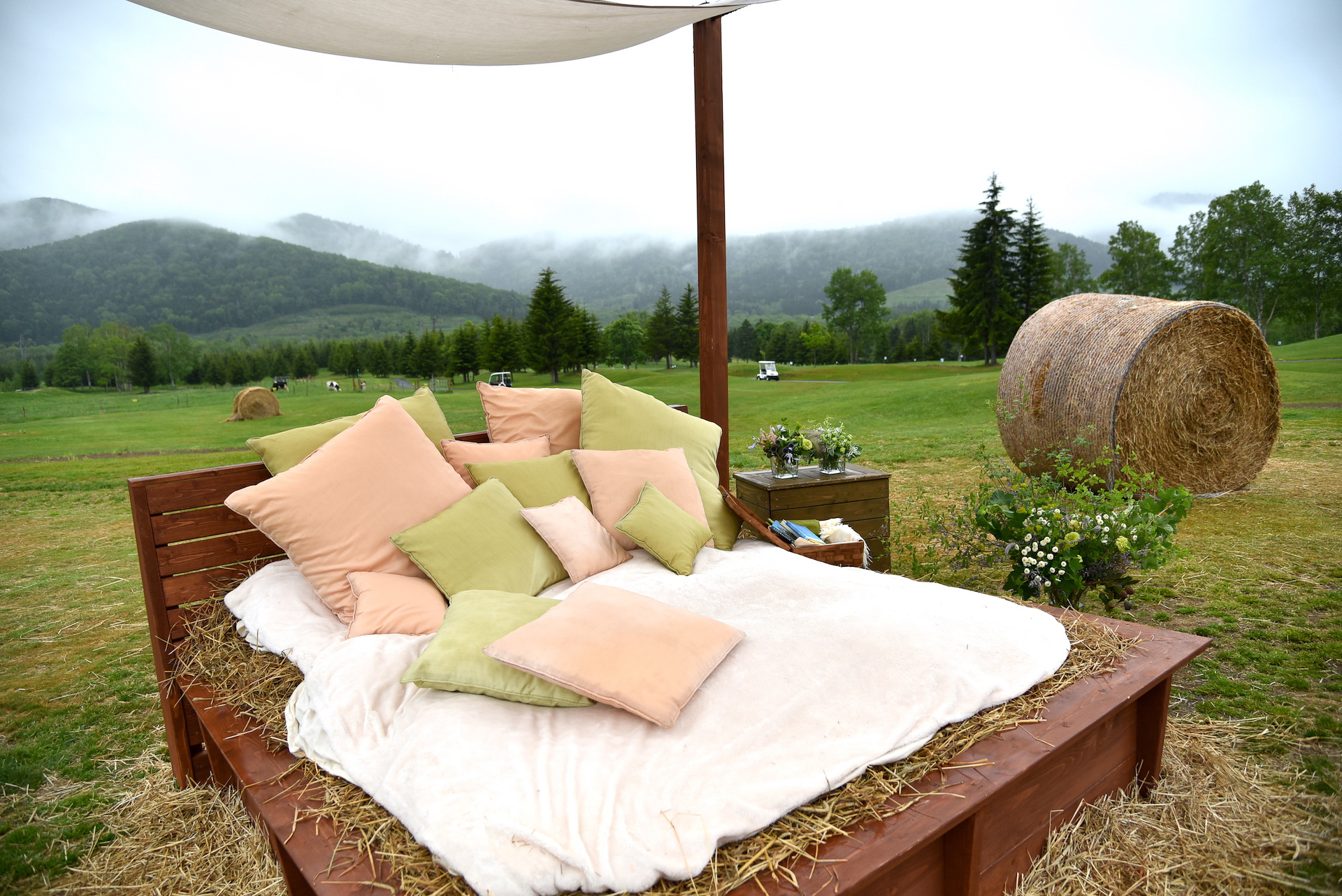 牧草地での んびり ヒツジやヤギと一緒に癒され体験 星野リゾート トマムの ホタルストリート で北海道の美味しいに舌鼓 トラベル Watch 牧草地での んびり ヒツジやヤギと一緒に癒され体験 星野リゾート トマムの ホタルストリート で北海道の美味しいに舌鼓 トラベル Watch