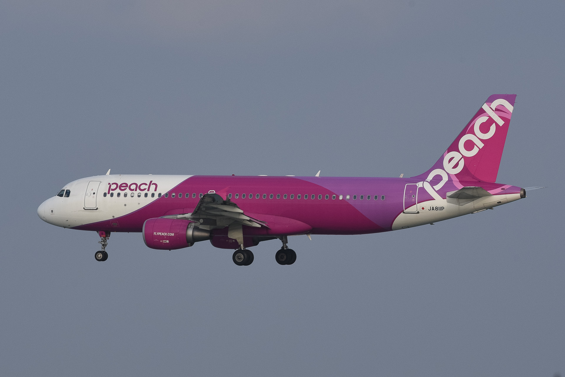 peach 9/15 関西空港→鹿児島空港