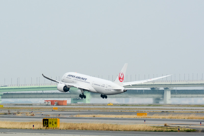 JAL、関空第1ターミナル発着での運航を9月14日再開 国内線は沖縄路線