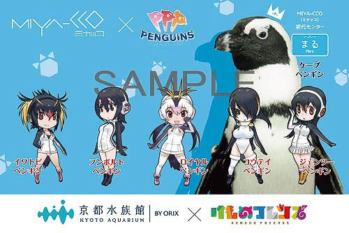 京都水族館のケープペンギン まる とけもフレの Ppp ペパプ がコラボした限定ポストカード配布 3月9日 24日 トラベル Watch