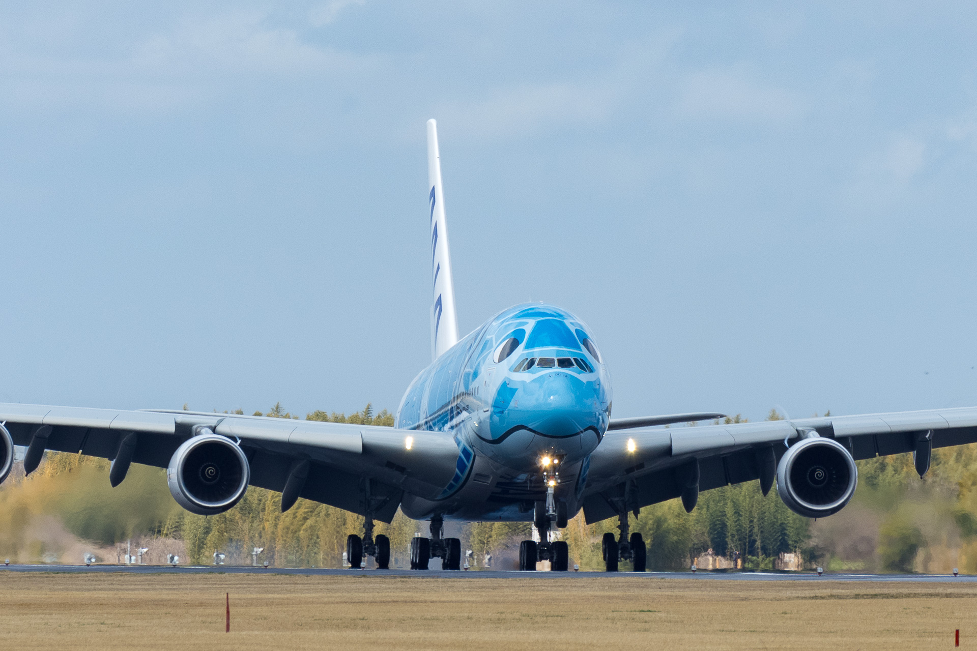 ANAのエアバス A380型機「FLYING HONU」1号機の日本到着を写真で紹介 