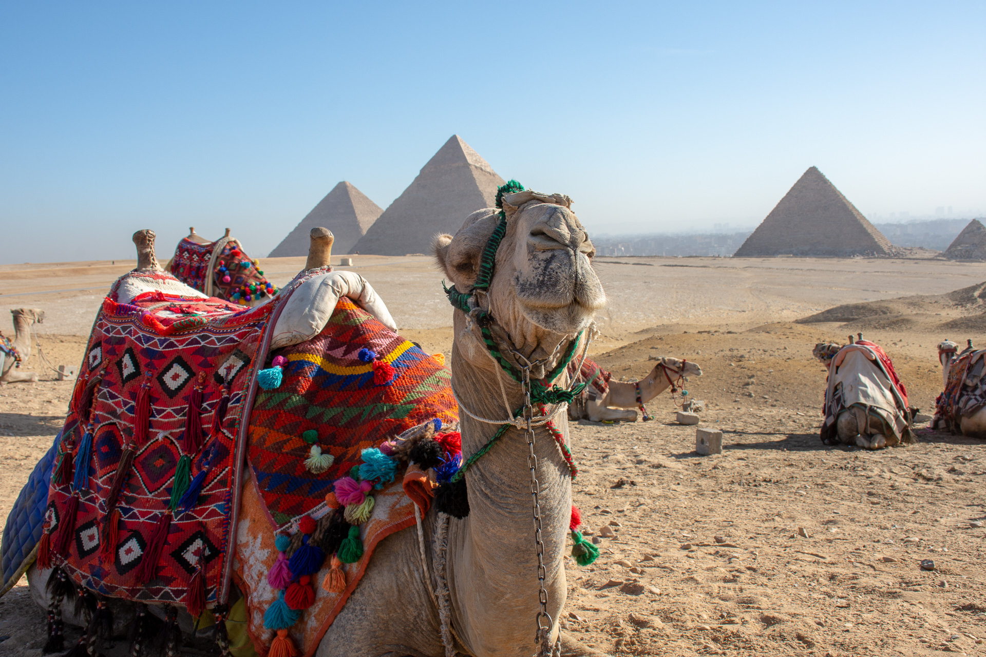 石造りの歴史が眠るエジプトを旅する 首都カイロまでは日本から直行便