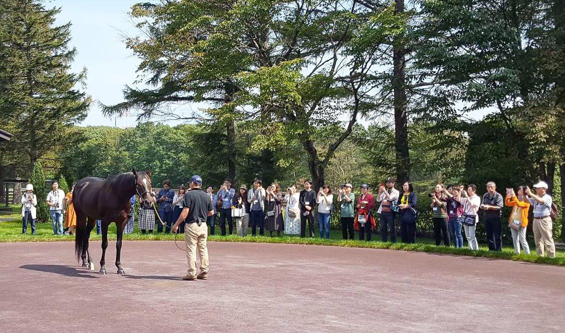 ノーザンホースパーク、オルフェーブル/キタサンブラックなど名馬に