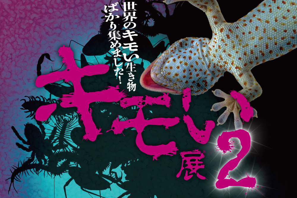 キモい生き物とふれあえる キモい展2 7月20日から梅田ロフトで開催 トラベル Watch