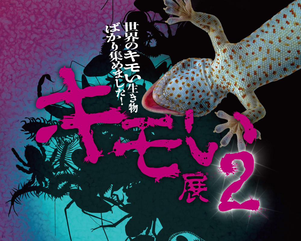 キモい生き物とふれあえる キモい展2 7月日から梅田ロフトで開催 トラベル Watch