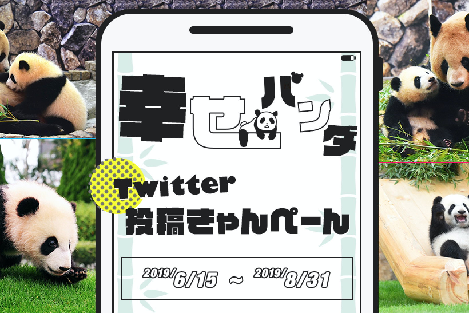 旅行と買い物好きパンダページ お買いものパンダ オフィシャルサイト