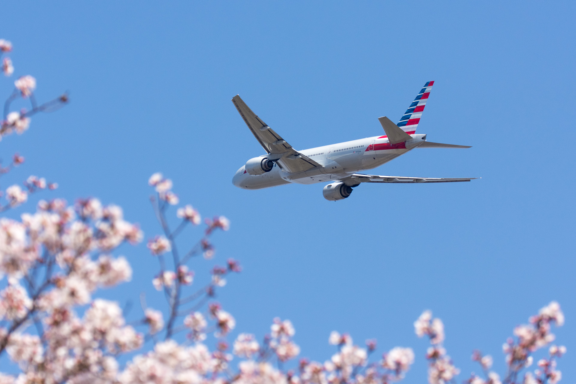 アメリカン航空 Ces開催に合わせて年1月4日 12日に成田 ラスベガス直行便運航 Jalとコードシェア トラベル Watch