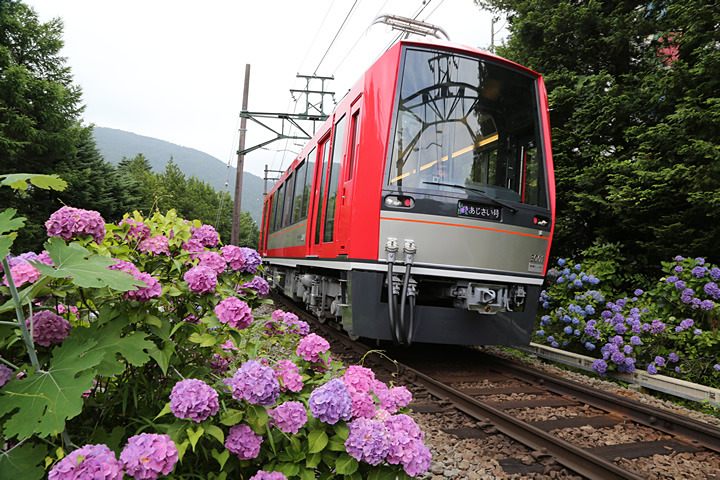 箱根登山鉄道 箱根湯本駅～強羅駅間の再開は2020年秋ごろの見込みに