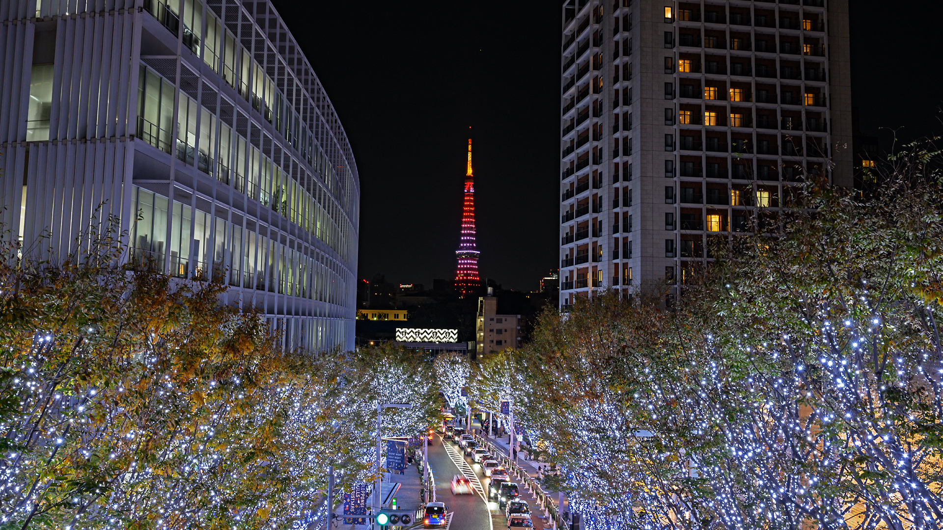 若林直樹のトラベルフォトギャラリー クリスマスの東京タワー 東京都 トラベル Watch