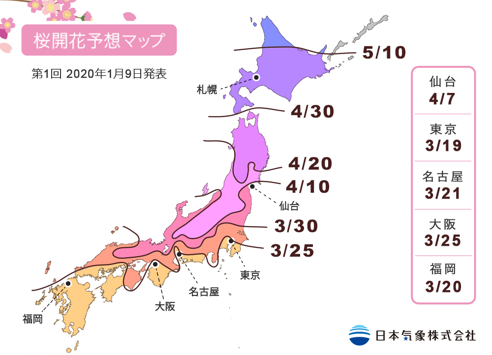 日本気象が年の桜開花予想を発表 全国的に早い開花へ トラベル Watch