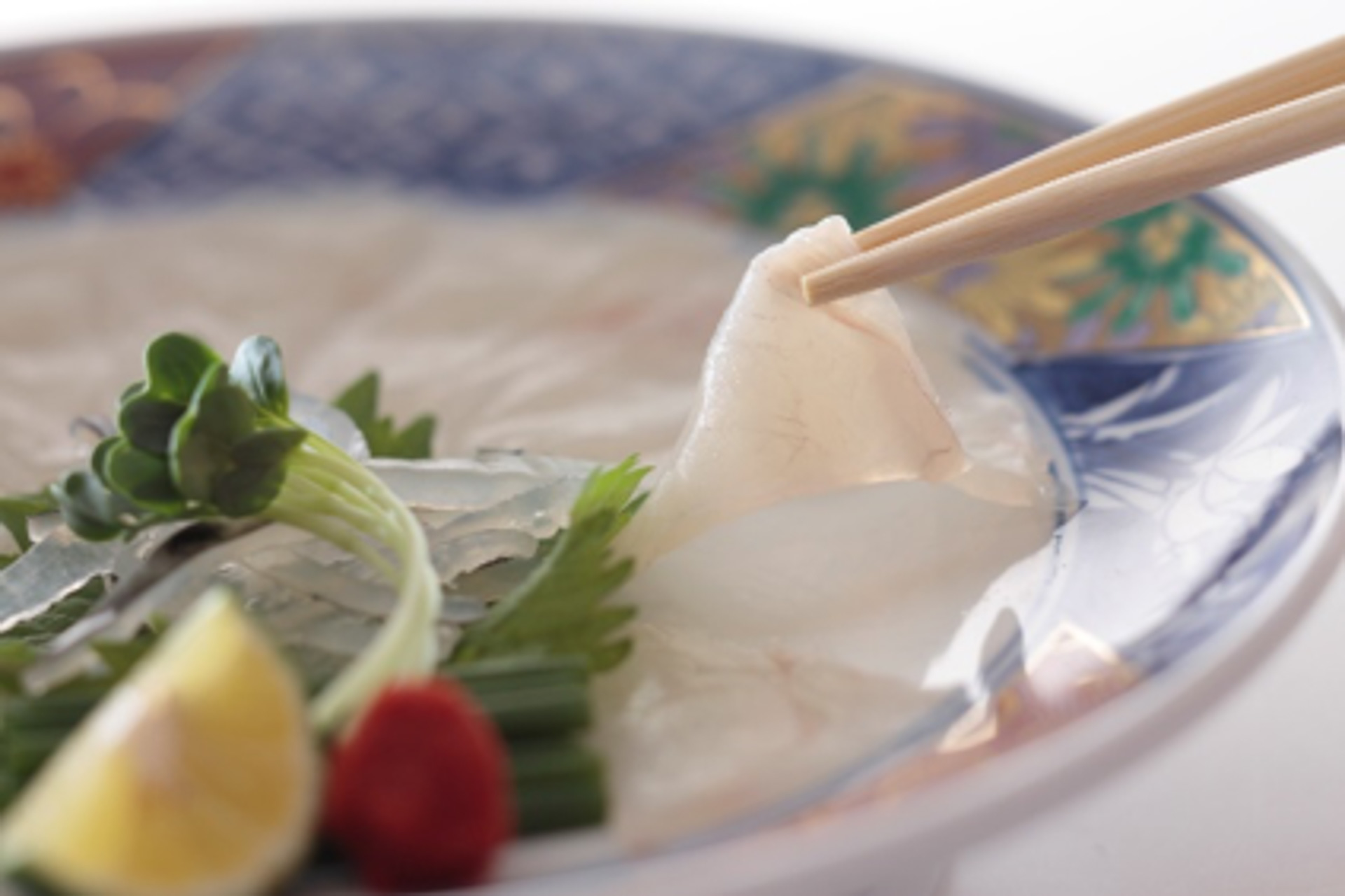 てっさ」が1円。ふぐ料理専門店「とらふぐ亭」全店舗で「とらふぐ亭