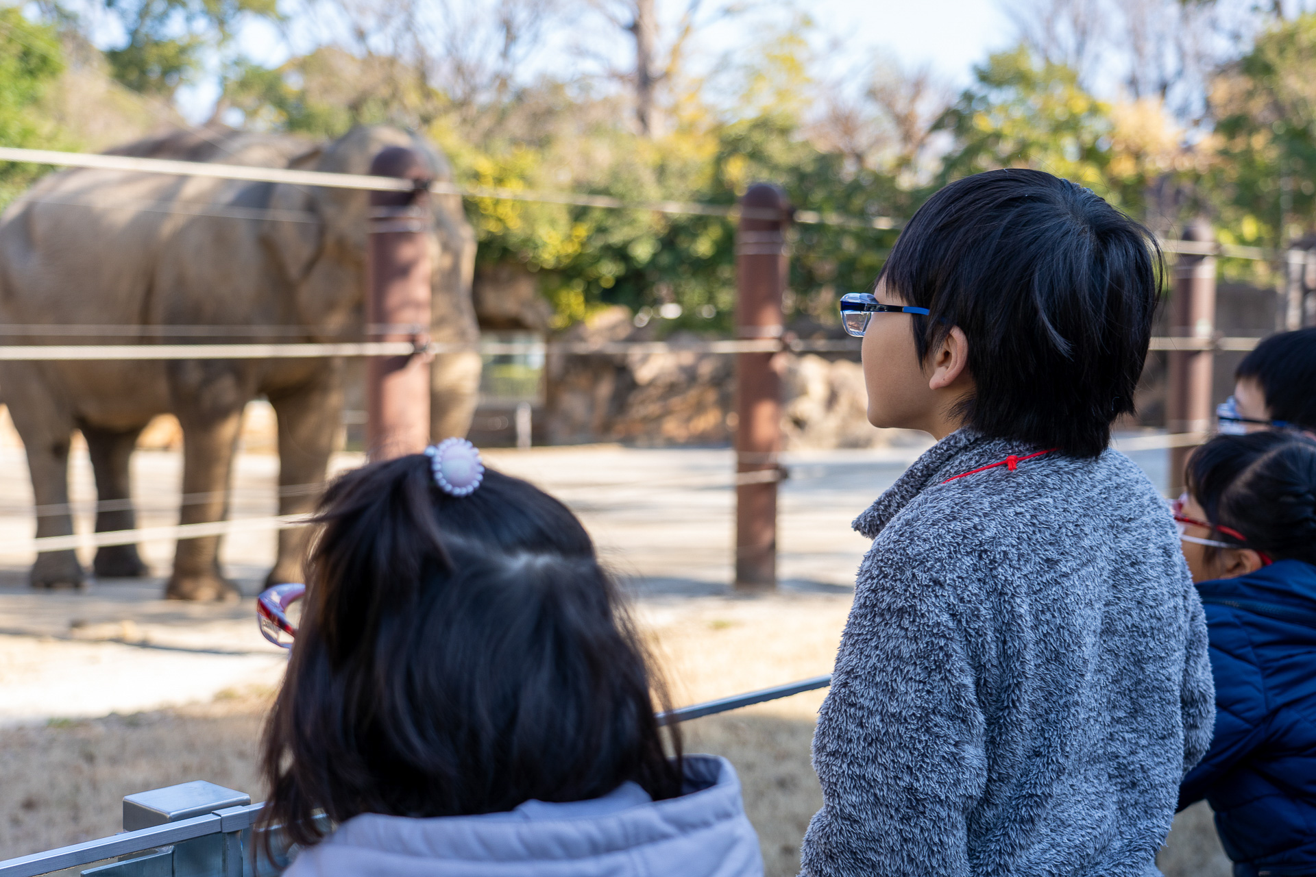 JINS、花粉カットメガネをかけて開園前の上野動物園を巡る親子ツアー