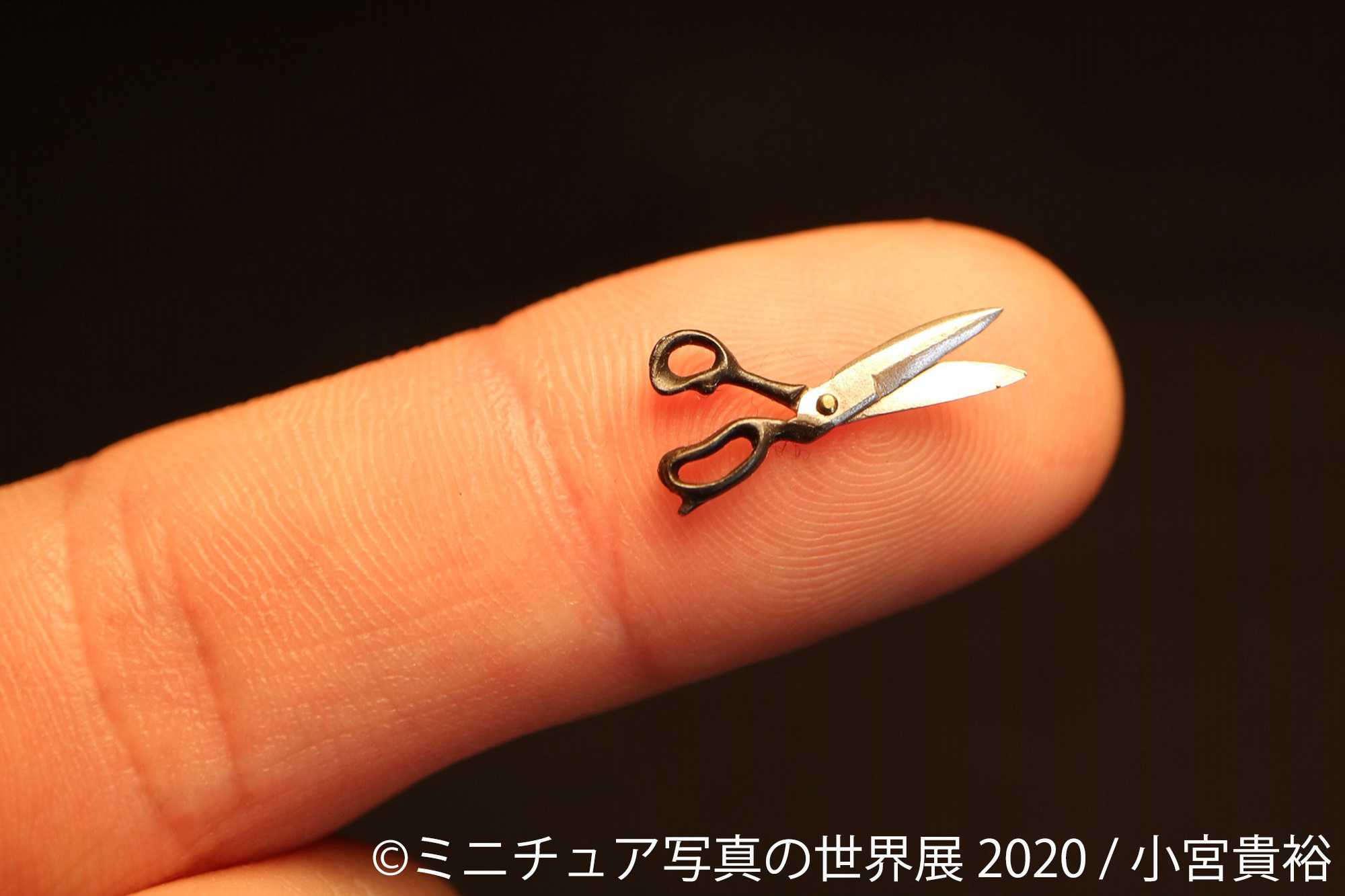 ミニチュア写真の世界展 東京 浅草橋で4月17日 5月17日開催 5月23日 6月21日に名古屋でも トラベル Watch