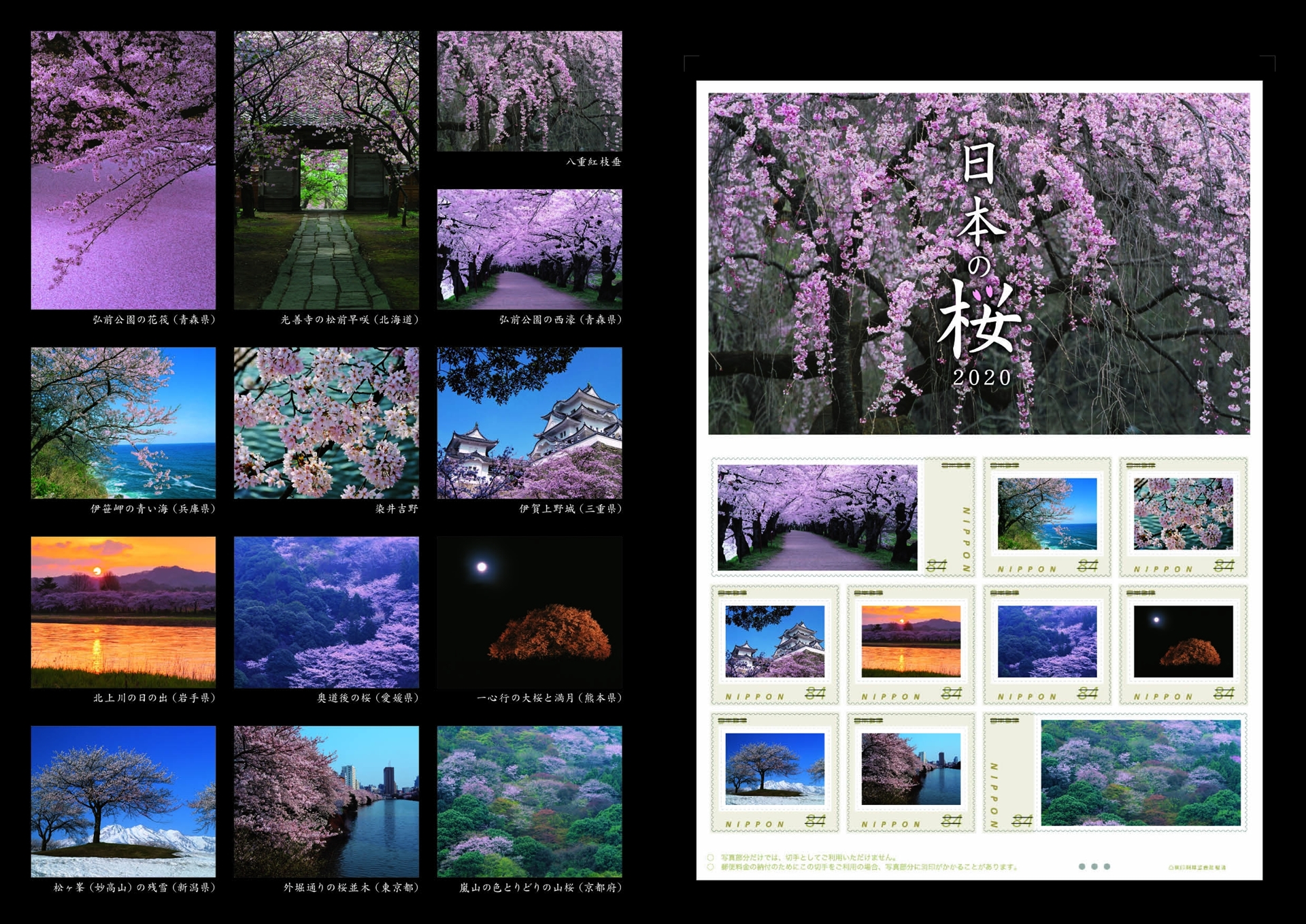 日本郵便 日本各地の桜を題材にしたフレーム切手 日本の桜 2020