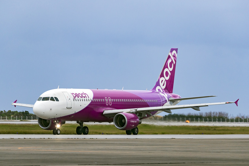 1265  ピーチ ピーチ、旧バニラエアデザインの特別塗装機をあす就航 関空〜奄美線に
