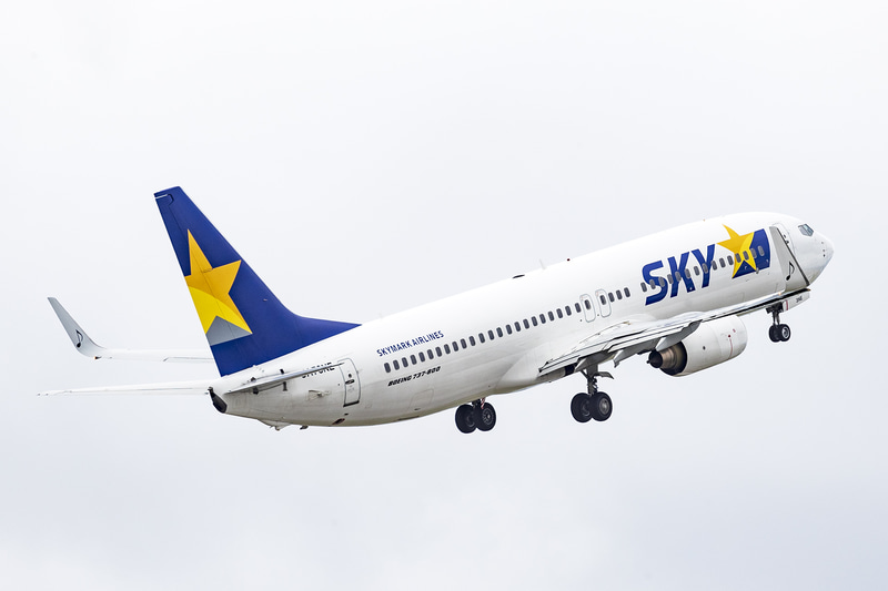 スカイマーク スカイマーク株式会社様 | 高見沢サイバネティックス