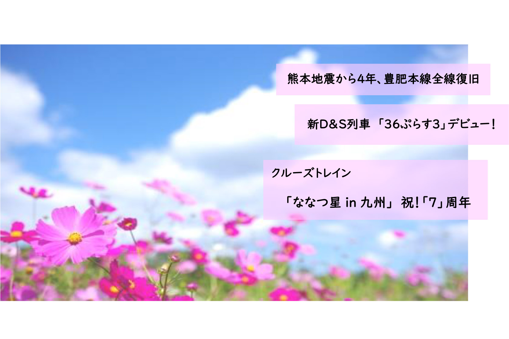 Jr九州 3つの明るいニュース を花をつなげて盛り上げる 花結びプロジェクト 10月ごろ開花予定のコスモスの種をプレゼント トラベル Watch